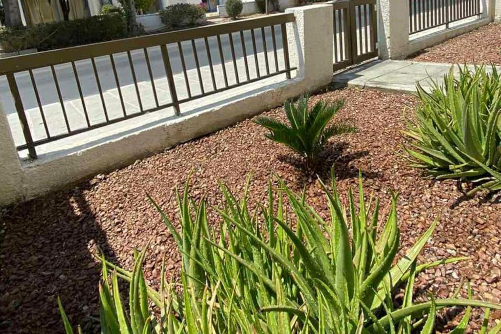 Dalia 9 Apartment Paphos Exterior photo